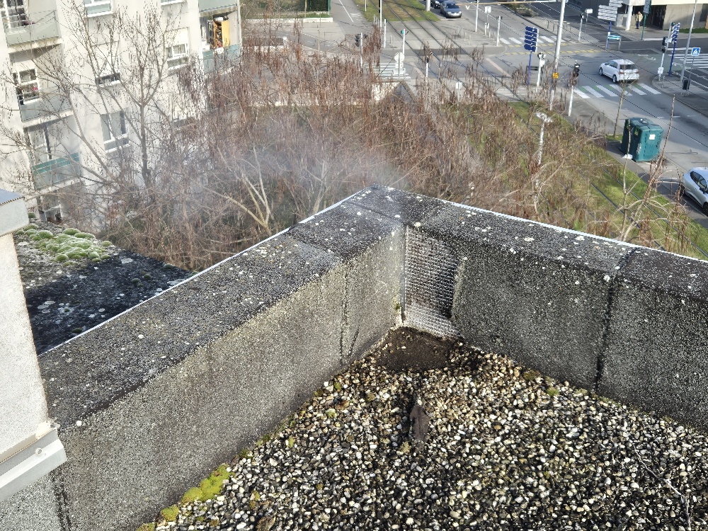 Recherche de fuites avec fumigènes sur toiture en Isère